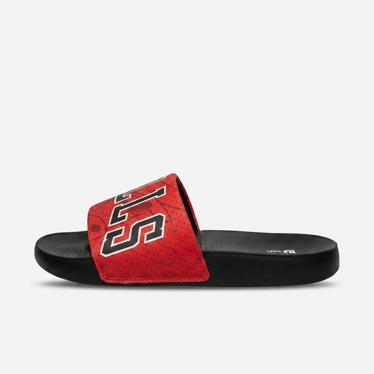 Bulls